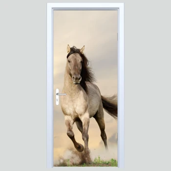 Okleiny na drzwi koń 360s