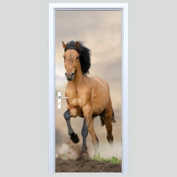  Okleiny na drzwi koń 361s