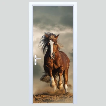  Okleiny na drzwi koń 362s