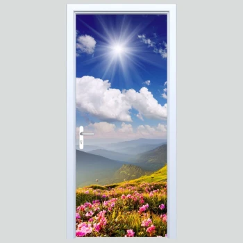  Okleiny na drzwi widok 346s