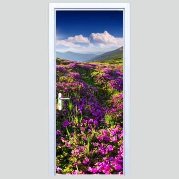  Okleiny na drzwi widok 358s